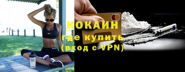 трава Новозыбков