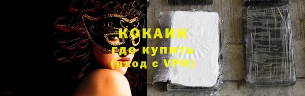 дурь Новодвинск