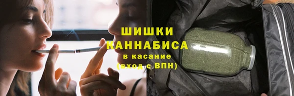 трава Новозыбков