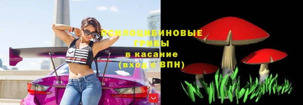дурь Новодвинск