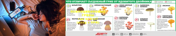 дурь Новодвинск