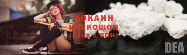трава Новозыбков