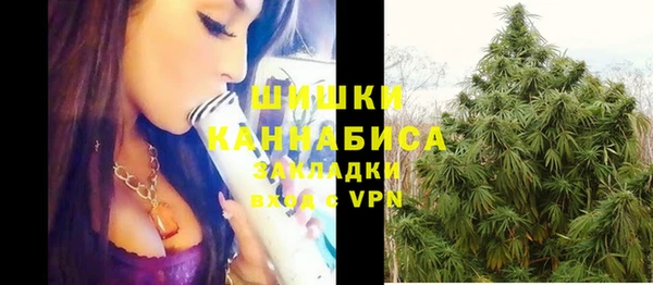 трава Новозыбков