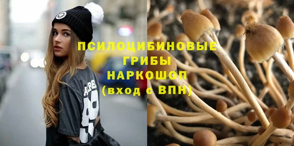 трава Новозыбков