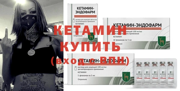 трава Новозыбков